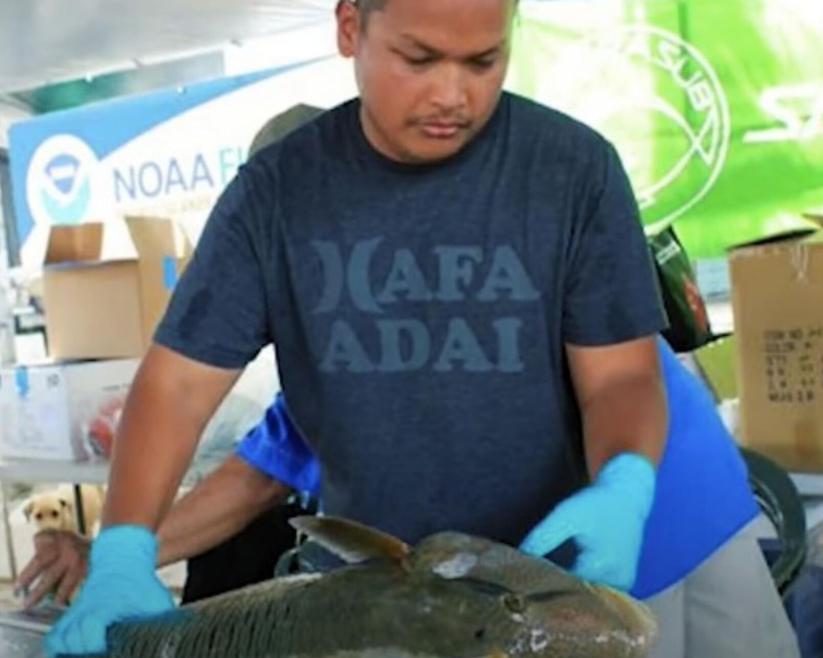 NOAA launches series of summer shorts with spotlight on the Pacific